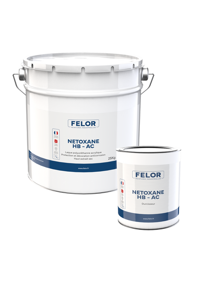 Laque de finition monocouche anticorrosion métal - toutes teintes - NETOXANE HB - AC