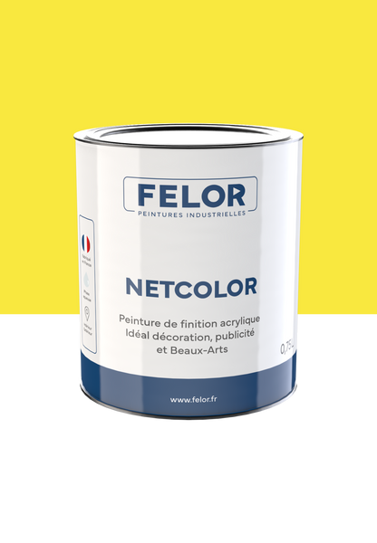 Peinture spéciale TV et vidéoprojecteur - NETCOLOR