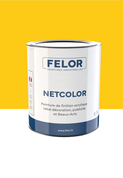 Peinture spéciale TV et vidéoprojecteur - NETCOLOR