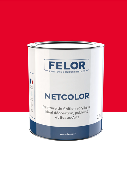 Peinture spéciale TV et vidéoprojecteur - NETCOLOR