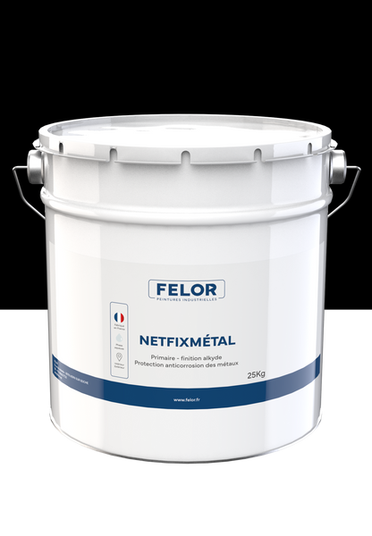 Peinture 2 en 1 primaire et finition de protection des métaux - NETFIXMETAL