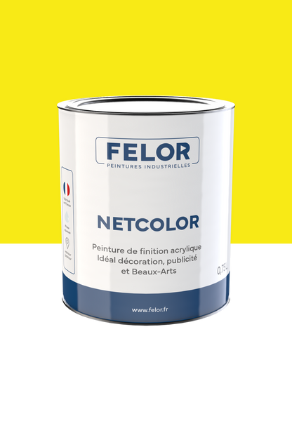 Peinture spéciale TV et vidéoprojecteur - NETCOLOR