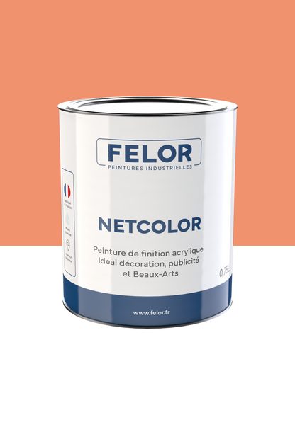 Peinture spéciale TV et vidéoprojecteur - NETCOLOR