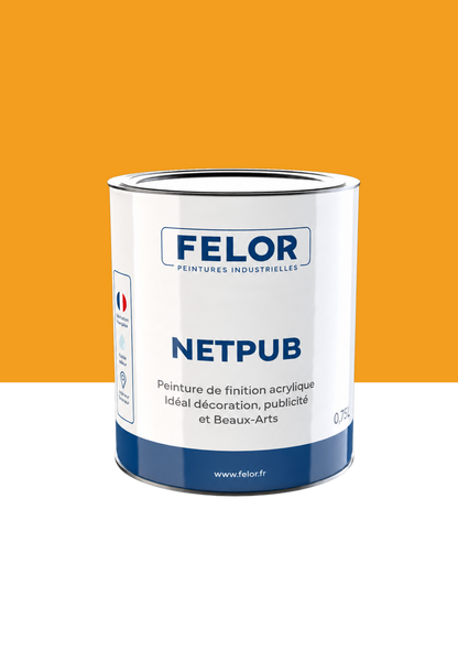 Peinture spéciale TV et vidéoprojecteur - NETPUB