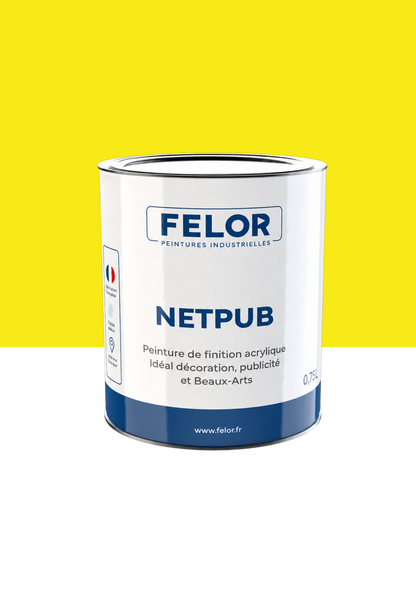 Peinture spéciale TV et vidéoprojecteur - NETPUB