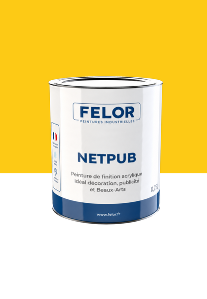 Peinture spéciale TV et vidéoprojecteur - NETPUB