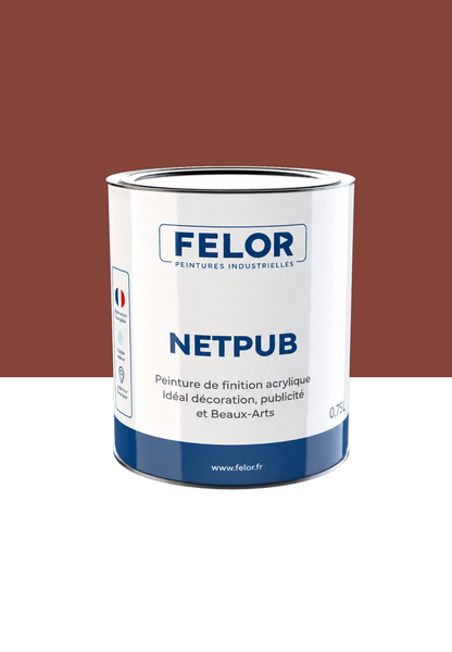 Peinture spéciale TV et vidéoprojecteur - NETPUB