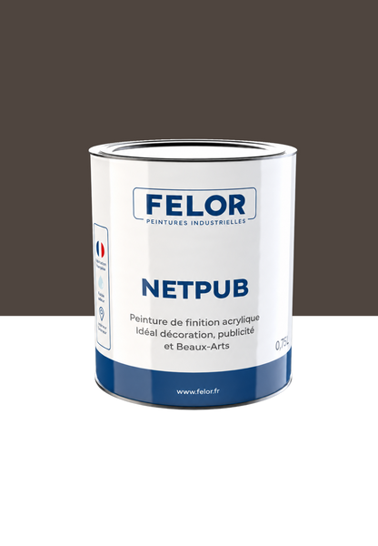 Peinture spéciale TV et vidéoprojecteur - NETPUB