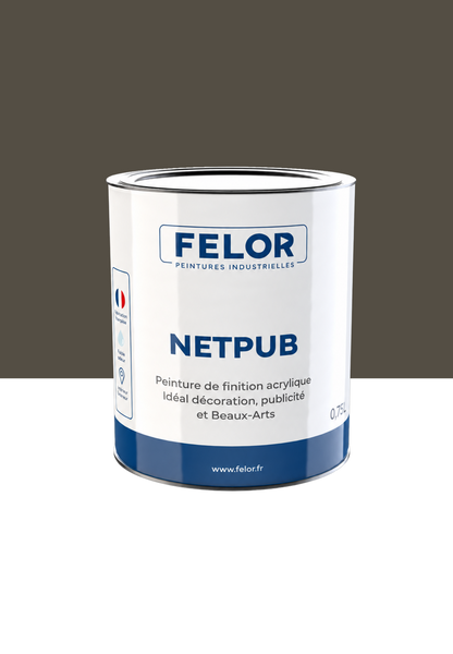 Peinture spéciale TV et vidéoprojecteur - NETPUB
