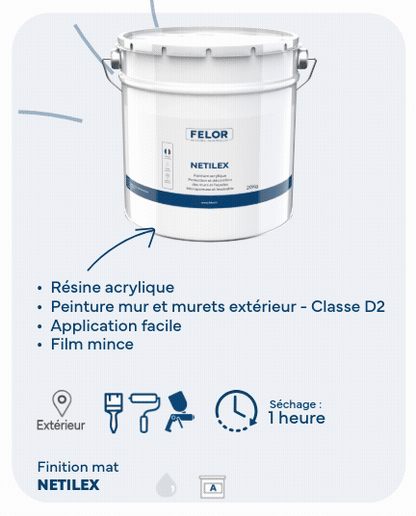 Peinture façade D2 microporeuse - NETILEX
