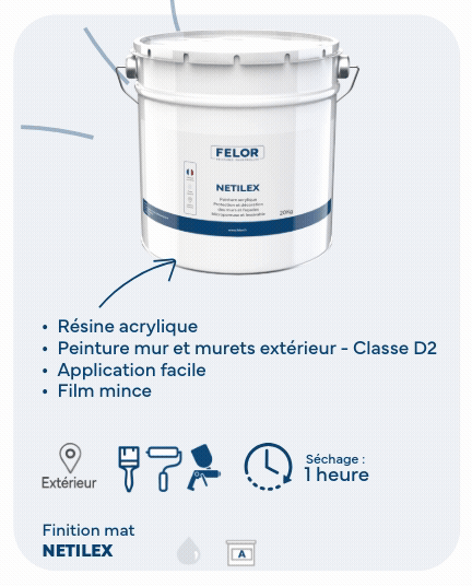 Peinture microporeuse pour mur et façade Blanc - NETILEX