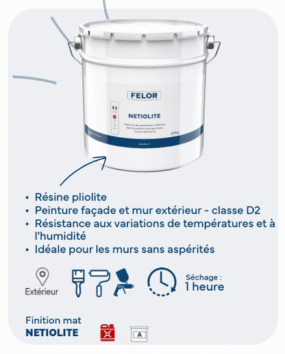 Peinture façade D2 pour murs sans aspérités - toutes teintes - NETIOLITE