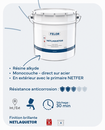 Laque de finition monocouche antirouille métal - Application pistolet - Toutes teintes - NETLAQUETOR