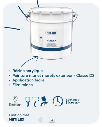 Peinture façade D2 microporeuse - NETILEX