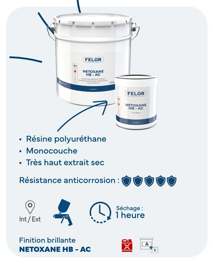 Peinture métal très haute performance au pistolet - NETOXANE HB AC